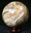 Colorful Petrified Wood Sphere #20607-1